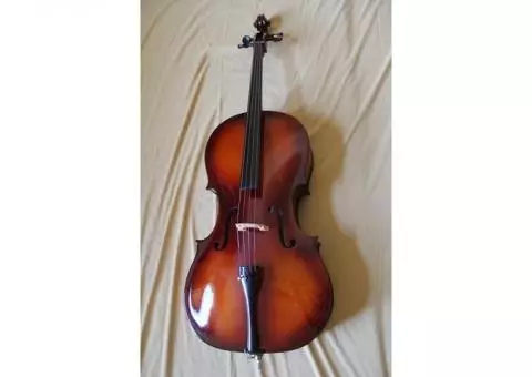 Full size student cello